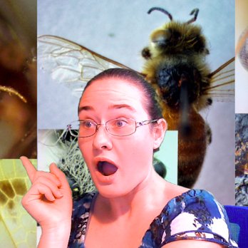 Insectopia - Specialty Schools Near Me Insectopia - Specialty Schools Near Me