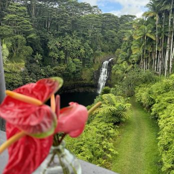 The Inn At Kulaniapia Falls - View from dining area - Bed & Breakfast Near Me - Hilo, Hawaii The Inn At Kulaniapia Falls - View from dining area - Bed & Breakfast Near Me - Hilo, Hawaii