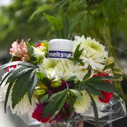 Botanical Sciences - Stockbridge