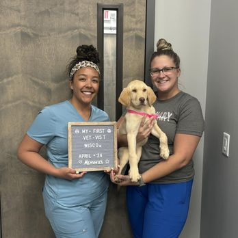 Keystone Animal Hospital - Veterinarians Near Me - Bradenton, Florida Keystone Animal Hospital - Veterinarians Near Me - Bradenton, Florida