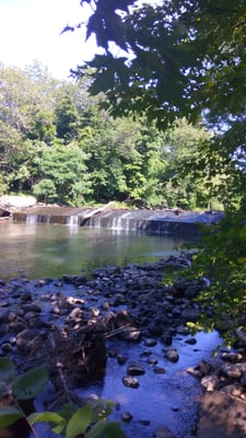 Griffith Park by null