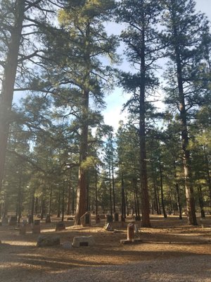 Grand Canyon Pioneer Cemetery by null