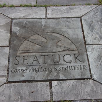 Seatuck Environmental Association - Official tile - Community Service/Non-Profit Near Me - Islip, New York