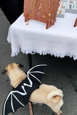 Inner Sunset Flea Market~2nd Sundays April to November 2024 by null