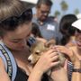 Pet Freekz