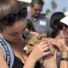 Pet Freekz gift card