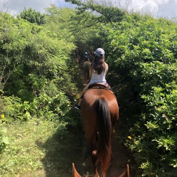 CJM Stables - Horseback Riding Near Me
