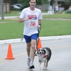Fetch! Pet Care - Need help with an active furry friend?