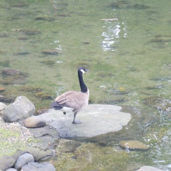 Stanley Park - Parks Near Me - Vancouver, British Columbia