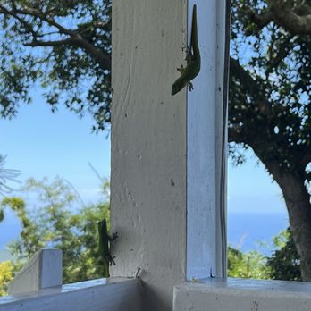 The Coffee Shack - Coffee & Tea Near Me - Captain Cook, Hawaii