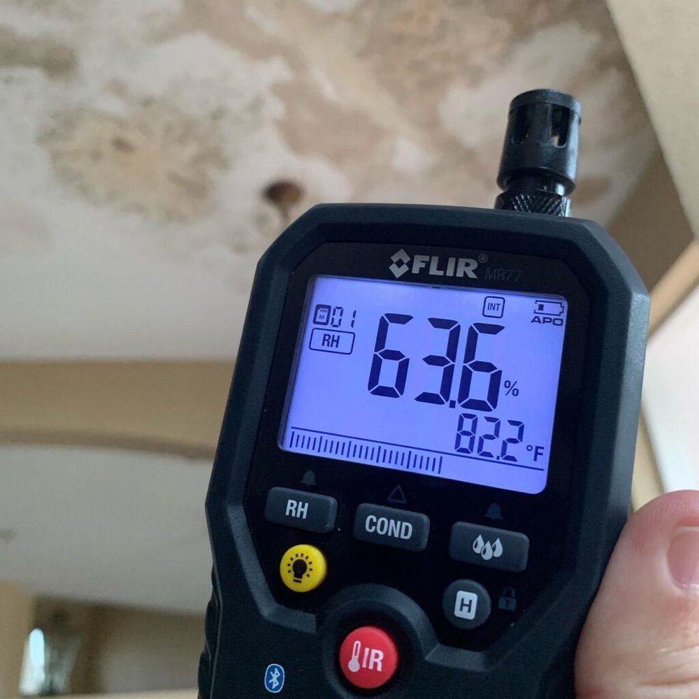 Mold Response Team - mold inspector in Boca Raton, FL