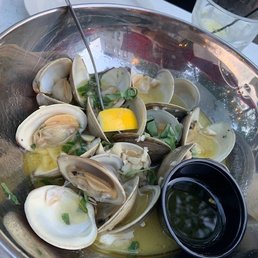 Little Neck Clams Little Neck Clams