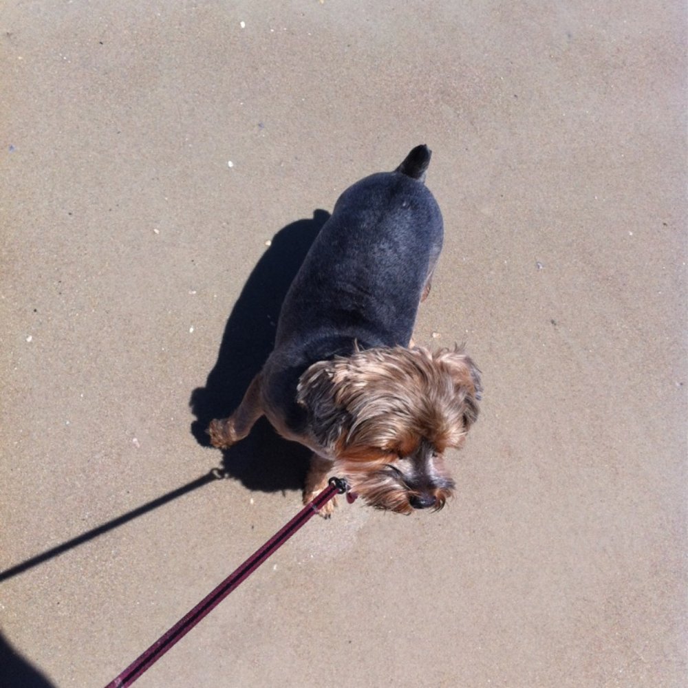 Smryna Dunes Park - Parks Near Me - New Smyrna Beach, Florida