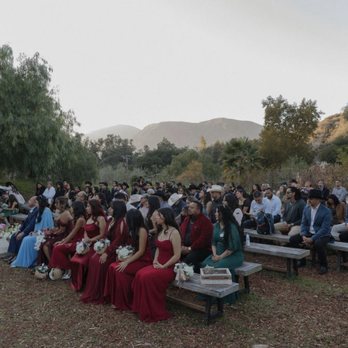 Reptacular Animals - Party & Event Planning Near Me - Sun Valley, California Reptacular Animals - Party & Event Planning Near Me - Sun Valley, California