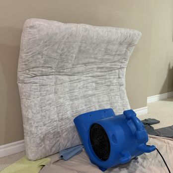 Fresh Nest Solutions - Drying - Carpet Cleaning Near Me Fresh Nest Solutions - Drying - Carpet Cleaning Near Me