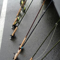 Orvis - Free lessons in Medina park every week. Fun!