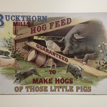 Big Fatty's BBQ - A rectangular sign displays the name Buckthorn Mills Hog Feed with colorful text and illustrations. It features several pigs, including a large pig peeking out from a pigpen and smaller pigs on the grass. The sign emphasizes a guarantee to make hogs of small pigs, with text arranged around the pig illustrations. The sign is mounted on a wall with visible screws at each corner. - Barbeque Near Me - White River Junction, Vermont