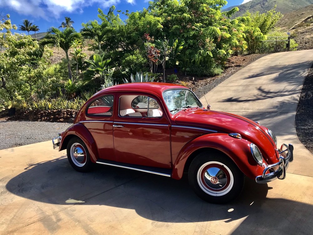 ABC AUTO BODY REPAIR with reviews Updated September 2024 22 Reviews