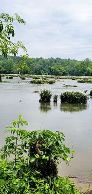 Landsford Canal State Park by null