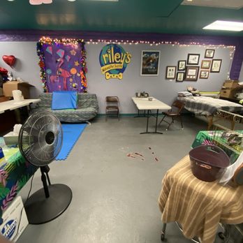 Riley's Natural Pet Supply - Here is the room where health sessions are conducted. - Pet Stores Near Me - Littleton, Colorado