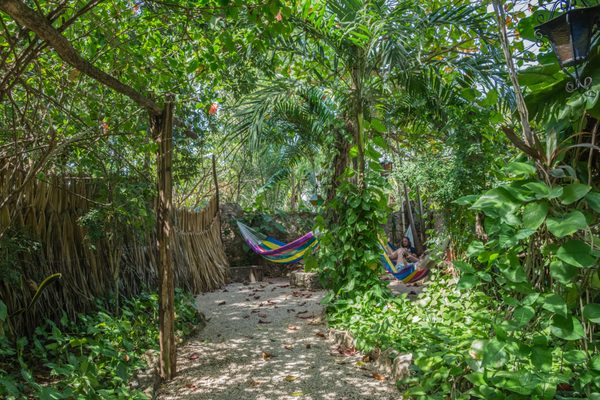 Hostel La Candelaria by null
