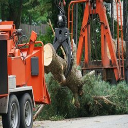 Ages Tree Service