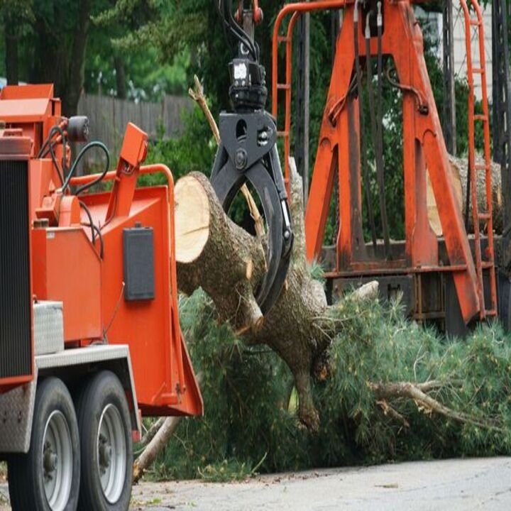 Ages Tree Service - veterans service organization in Orange Park, FL