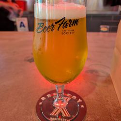 Double Dry Hopped Pliny The Elder