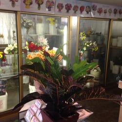 Serrano Flowers