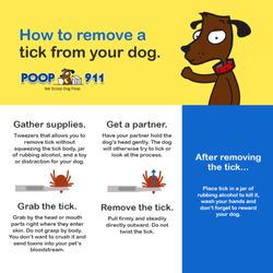 POOP 911 - North Arlington