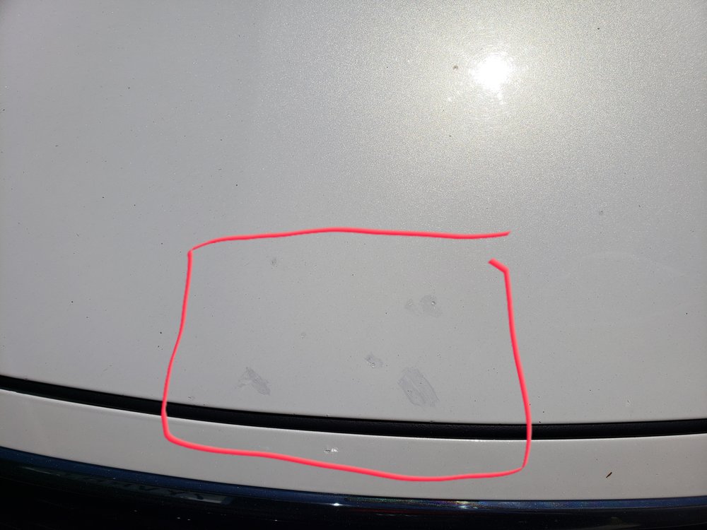 SERRA OF JACKSON Updated August 2024 11 Photos & 21 Reviews 189