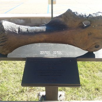Glenrio visitor center - Brontosaurus hip bone (bronze cast) - Visitor Centers Near Me - Glenrio, New Mexico Glenrio visitor center - Brontosaurus hip bone (bronze cast) - Visitor Centers Near Me - Glenrio, New Mexico