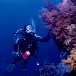 Los Gigantes Diving Centre