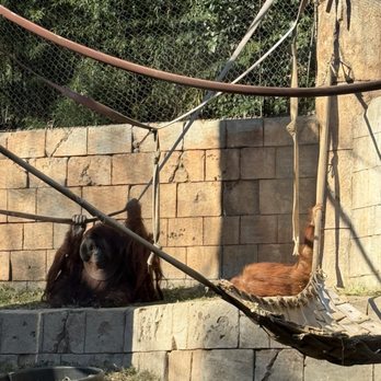 Greenville Zoo - Zoos Near Me - Greenville, South Carolina