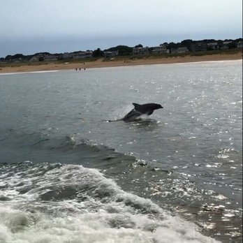 Rudee Tours - Tours Near Me - Virginia Beach, Virginia Rudee Tours - Tours Near Me - Virginia Beach, Virginia