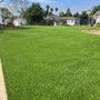 Photo of Gorilla Turf & Hardscape