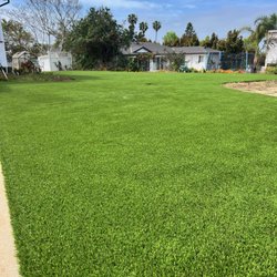 Gorilla Turf & Hardscape