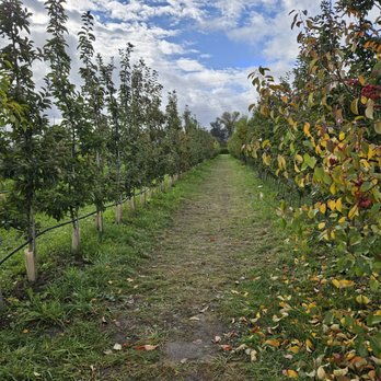 Swans Trail Farms - Apple orchard - Pumpkin Patches Near Me - Snohomish, Washington