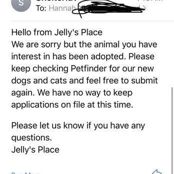 Jelly's Place - Pet Adoption Near Me - San Pablo, California Jelly's Place - Pet Adoption Near Me - San Pablo, California
