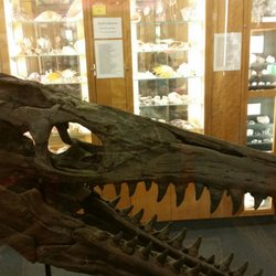 Hicksville Gregory Museum