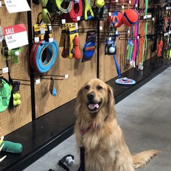 Sportsman's Warehouse - Happy to be in the toy aisle!