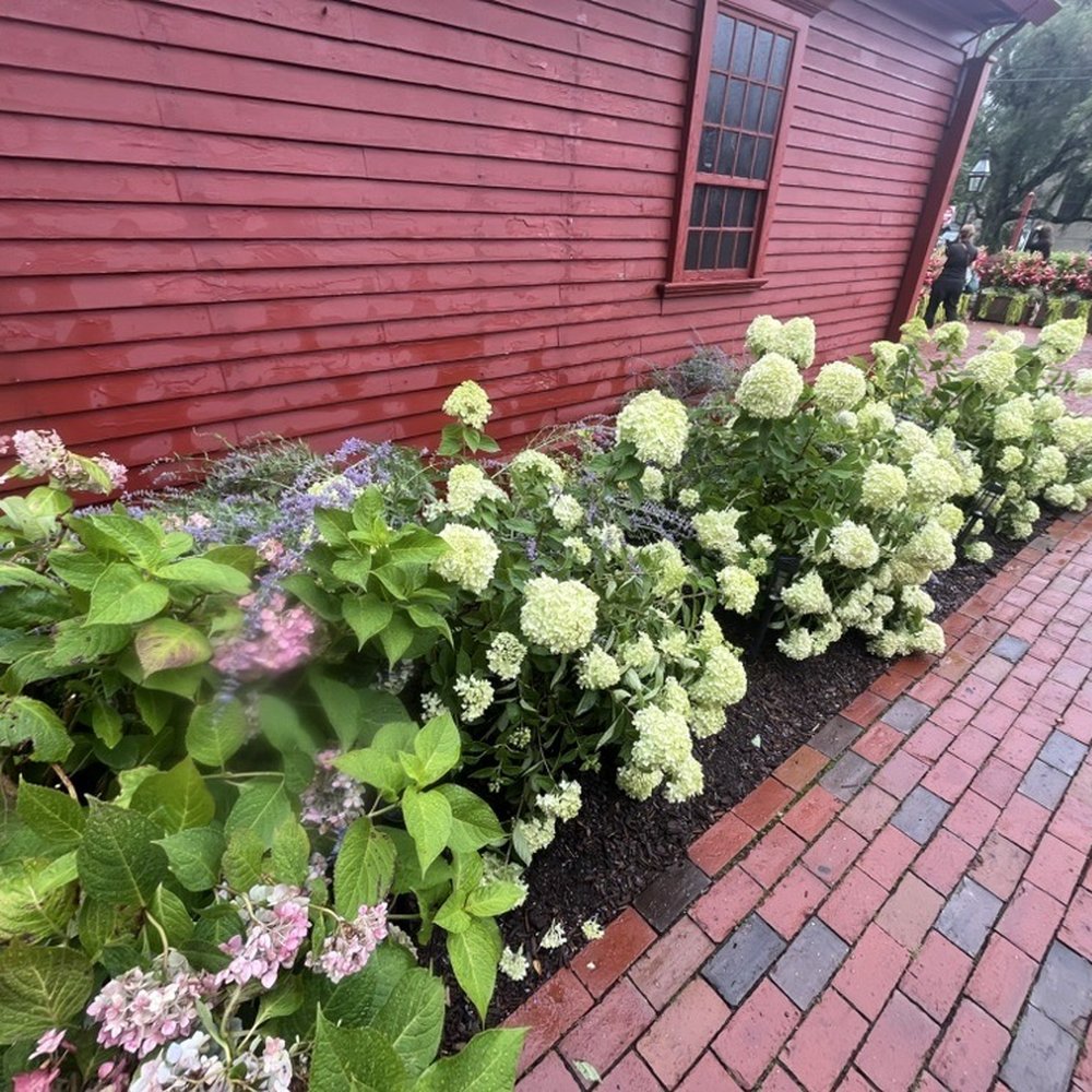 White Horse Tavern - New American Near Me - Newport, Rhode Island White Horse Tavern - New American Near Me - Newport, Rhode Island