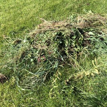 Marbella Landscaping - This is 1 pile of 3 weeds and debris that I pulled from my yard after the "yard cleanup"! - Lawn Services Near Me - Orem, Utah