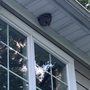 Photo of Bugging Out Termite & Pest Control