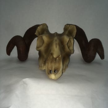 Lampshade Specialties - Step 1: ram skull piece - Lighting Fixtures & Equipment Near Me - Los Angeles, California Lampshade Specialties - Step 1: ram skull piece - Lighting Fixtures & Equipment Near Me - Los Angeles, California