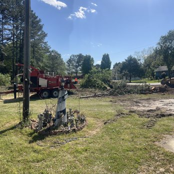 Advanced Tree Pros - Tree Services Near Me