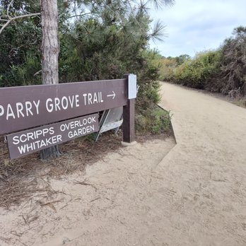 Torrey Pines State Reserve - Parks Near Me - La Jolla, California Torrey Pines State Reserve - Parks Near Me - La Jolla, California