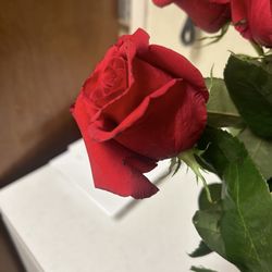 Storey's Florist