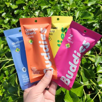 The Novel Tree - Buddies available now, Save 20% on Wednesdays. valid through 7.1-7.30.2025 - Cannabis Clinics Near Me - Bremerton, Washington