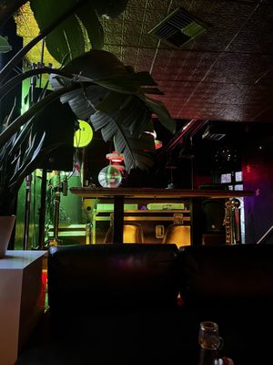 Afterlife Seattle by null